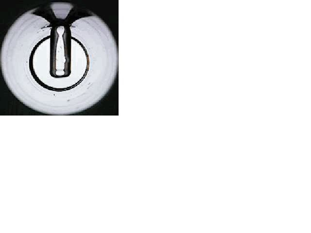 Glass Light Cell (Interior)
